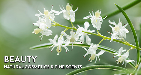 fragrance and beauty natural cosmetics fine fragrances for the senses
