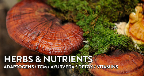 Superherbs herbs and vital substances Adaptogenic tcm ayurveda detox vitamins