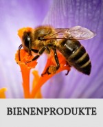 Button_Bienen