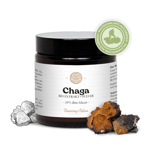 bio chaga extrakt + pulver