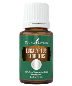 Young Living Eucalyptus Globulus Ätherisches Öl 15ml