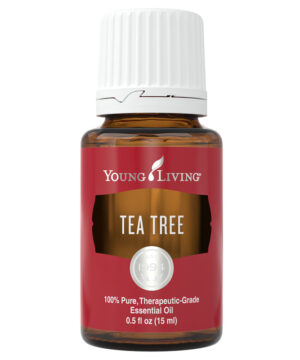 Young Living Teebaum Öl 15ml