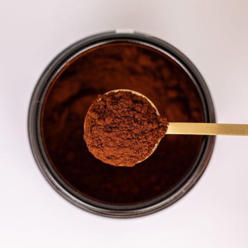Reishi Sporen Bio Premium Pulver – Bild 2