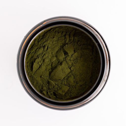 Marines Phytoplankton Pulver – Bild 3