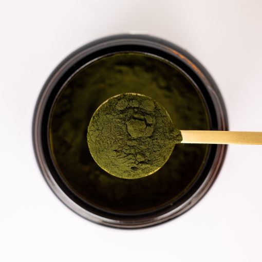Marines Phytoplankton Pulver – Bild 2