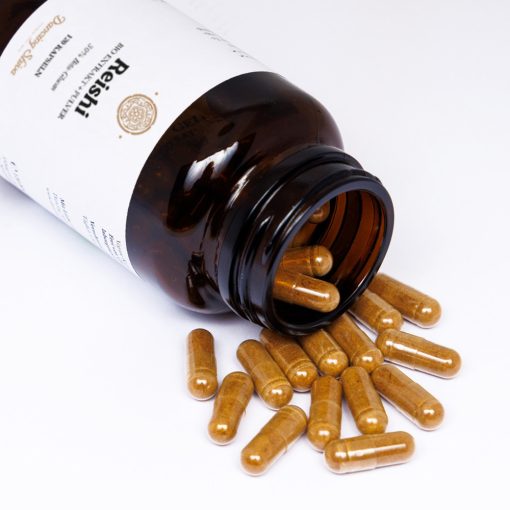 Reishi Extrakt + Pulver Kapseln 30% Beta-Glucan 120 Stk. Bio – Bild 2