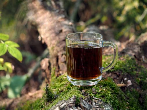 Wild Chaga Extrakt Pulver aus Sibirien Bio – Bild 6