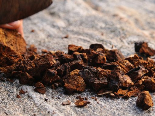 Wild Chaga Tee - Wildsammlung aus Sibirien 100g – Bild 4