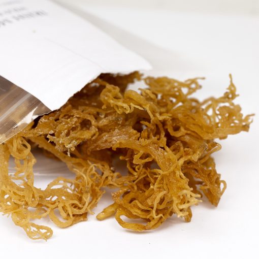 Irish Moss 100g Wild & Raw – Bild 4