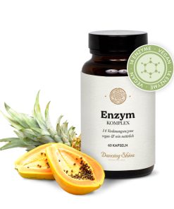 enzym komplex