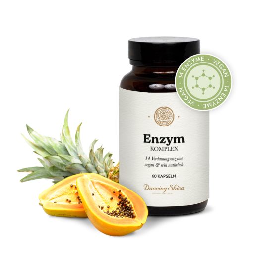 enzym komplex