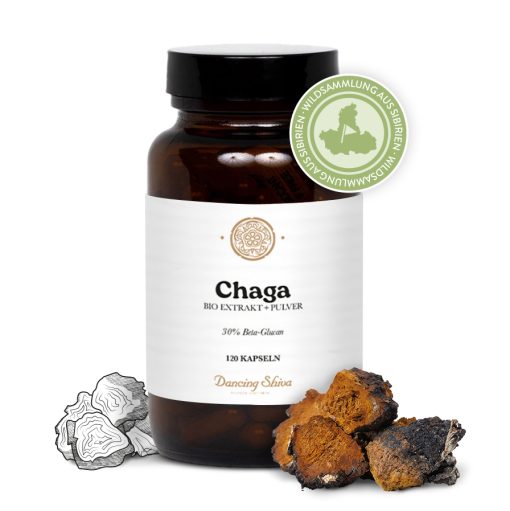 bio chaga extrakt + pulver kapseln